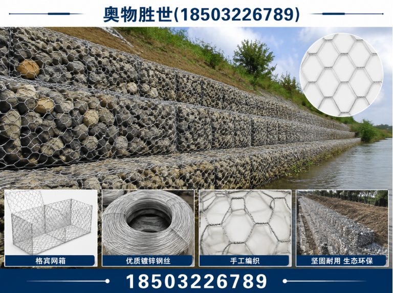 大连雷诺护垫展示图